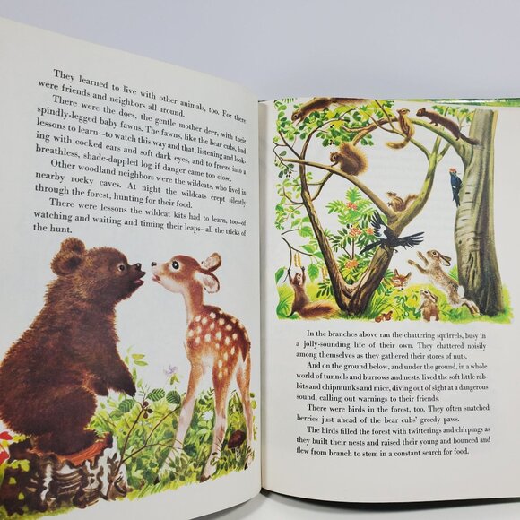 True Story Of Smokey The Bear Big Golden Book 1955 Hardcover - Picture 14 of 16